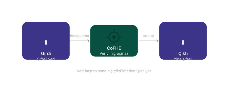 The image illustrates a Fully Homomorphic Encryption (FHE) process flow showing how encrypted data ("Şifreli veri") is sent as input ("Girdi") to the CoFHE computation unit—which never decrypts the data ("Veriyi hiç açmaz")—and returns the result ("sonuç") as still-encrypted output ("Yine şifreli"), with the caption noting that the data is processed without ever being decrypted ("Veri baştan sona hiç çözülmeden işleniyor"). This visually represents Fhenix's core technology, which enables privacy-preserving smart contracts on Ethereum by performing computations on encrypted data throughout the entire workflow.