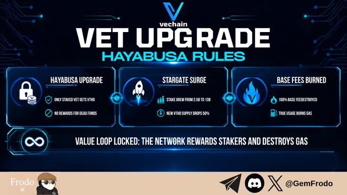 A promotional graphic for 'VECHAIN VET UPGRADE HAYABUSA RULES' detailing three pillars: Hayabusa Upgrade (only staked VET gets VTHO), Stargate Surge (stake grew from 2.5B to 15B, new VTHO supply drops 50%), and Base Fees Burned (100% base fees destroyed).