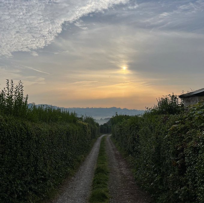 A scenic landscape photograph of a narrow dirt path flanked by tall green hedges, leading toward distant hills under a cloudy sunset sky.