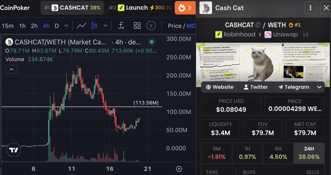 This image shows a cryptocurrency chart for $CASHCAT/WETH, with a market cap of $79.7M and a price of $0.08049, alongside a meme of a sad cat with text referencing "Robinhood".