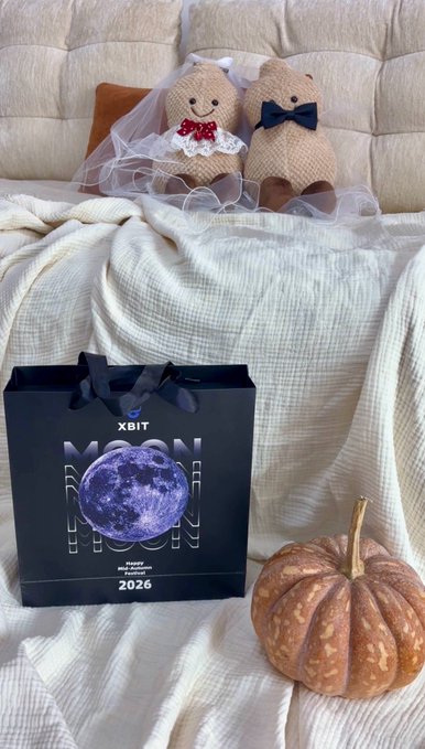 Two stuffed teddy bears dressed as a bride and groom sit on a bed behind a black 'MOONLIGHT REVERIE 2026 XBIT' gift bag and an orange pumpkin.