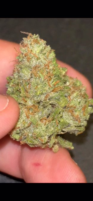 A close-up photo shows a hand holding a green cannabis bud with visible orange pistils and crystalline trichomes.