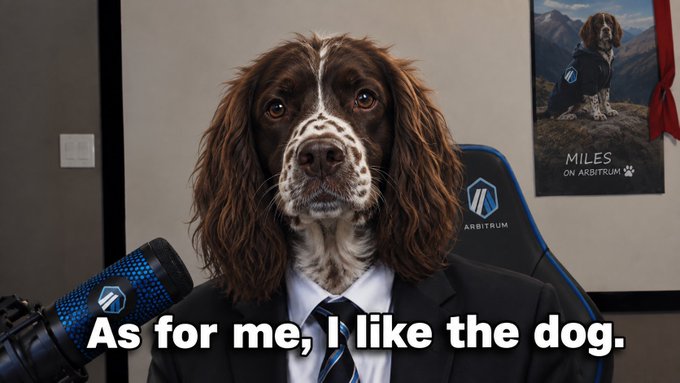 Meme image of an English Springer Spaniel in a suit with the caption 'As for me, I like the dog.' against a wall with an 'ARBITRUM' poster.