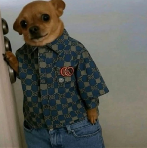 A humorous AI-generated or edited image of a small chihuahua dog wearing an oversized blue and tan Gucci checkered shirt and blue jeans, standing upright.