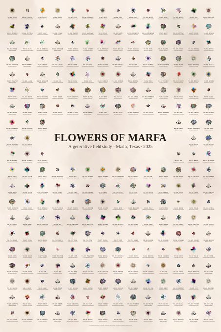 A generative field study poster titled 'FLOWERS OF MARFA - Marfa, Texas - 2025' displaying a grid of hundreds of small flower illustrations.