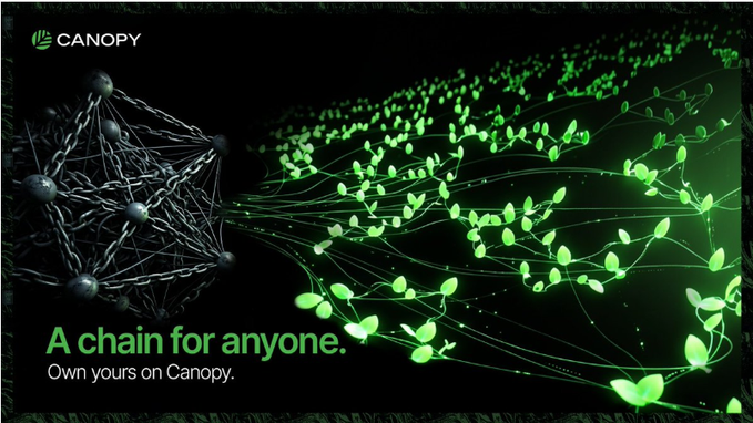 A digital advertisement for Canopy featuring green glowing leaf motifs and a network of spheres, with the text 'A chain for anyone. Own yours on Canopy.'