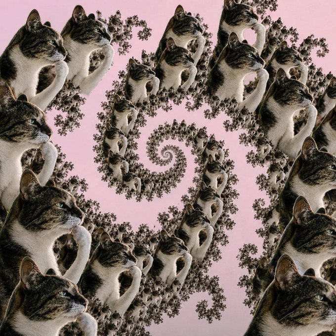 A surreal fractal artwork featuring repeating images of a tabby cat arranged in a swirling spiral pattern against a pink background.