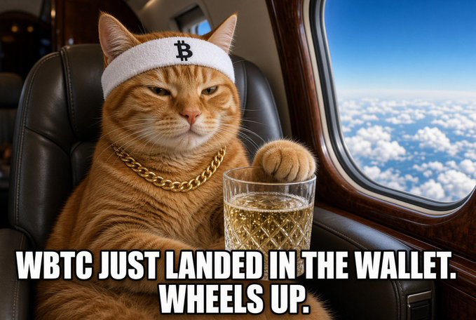 An orange cat wearing a white headband with a "B" logo and a gold chain sits in a private jet holding a glass of amber liquid, with text reading "WBTC JUST LANDED IN THE WALLET. WHEELS UP."