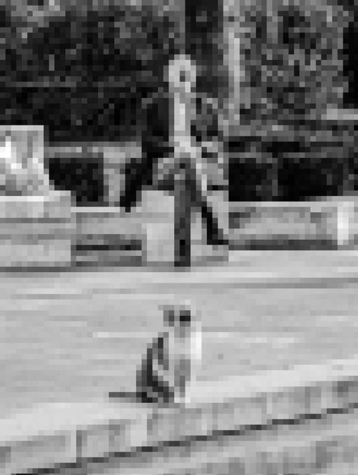 A grainy black-and-white image, likely a still from a security camera or thermal footage, showing a person walking across a paved area with a dog in the foreground.