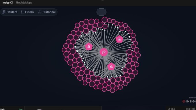 An InsightX BubbleMaps network visualization shows a circular cluster of pink nodes connected to a central hub, illustrating crypto holder distribution.