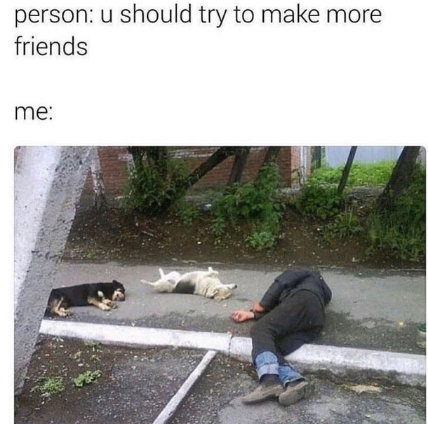 A meme with the text 'person: u should try to make more friends' and 'me:' shows a photograph of a person lying on a sidewalk next to two dogs.