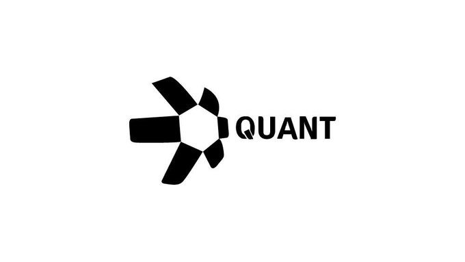 A simple black logo featuring a geometric flower/star design next to the word 'QUANT' on a white background.