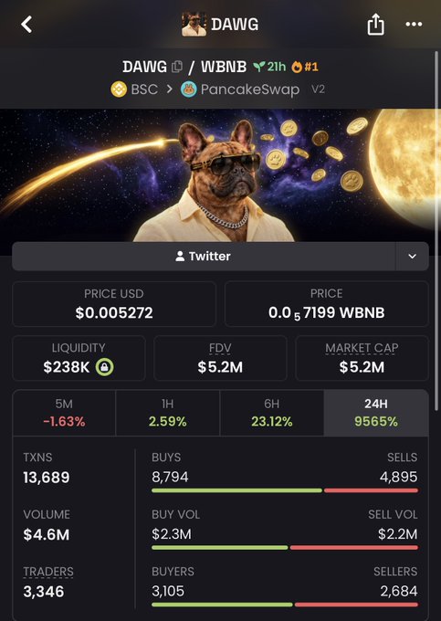 A cryptocurrency tracking screen for a token called 'DAWG' on PancakeSwap V2, showing a price of $0.005272, liquidity of $238K, FDV of $5.2M, and a 24-hour price change of 9565%.