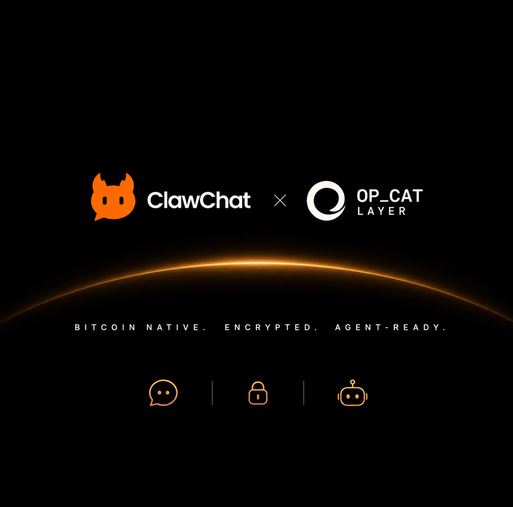 The image features a black background with white text that reads "OP-Cat Layer" and "Bitshare". The text also includes an orange cat icon, which is associated with the clawschat company. Additionally, there are three icons representing different aspects of cryptocurrency and blockchain technology, such as a lock symbol, a padlock, and a Bitcoin sign. These icons help to convey the concept of digital currency and its various components in a visually appealing manner.