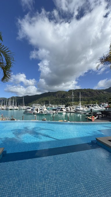 A scenic view from an infinity pool overlooking a marina filled with boats, set against a backdrop of green hills and a bright blue sky with fluffy white clouds.