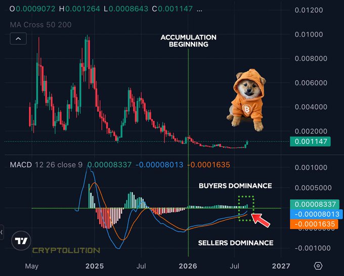 A cryptocurrency price chart from Cryptolution showing an asset priced at 0.001147, labeled 'ACCUMULATION BEGINNING' with a Shiba Inu dog in an orange hoodie. The MACD indicator below shows 'BUYERS DOMINANCE' and 'SELLERS DOMINANCE' zones with an arrow pointing to the current crossover.