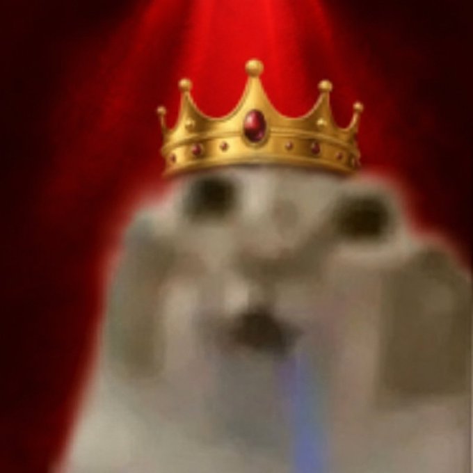 The image features a cat wearing a gold crown, which appears to be a playful and whimsical scene. The cat's face is blurred out, making it difficult to discern its features clearly. The background of the image is red, creating a striking contrast with the white cat and the gold crown. The caption below the image reads "new pfp who this ps ?".