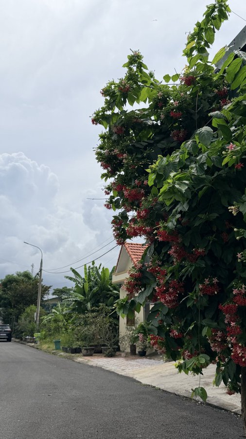 None