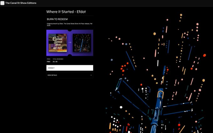Screenshot from The Canal Street Show Editions of an NFT titled 'Where It Started - Efdot' with a 'BURN TO REDEEM' option and a Connect button.