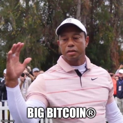 A meme of Tiger Woods with his hand raised, labeled 'BIG BITCOIN®' at the bottom (imgflip.com).