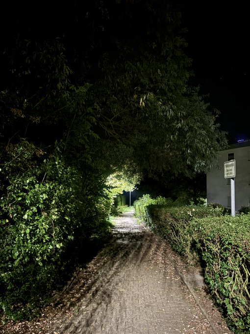 A nighttime photograph of a tree-lined path illuminated by a streetlight, with a building and a sign visible to the right of the walkway.