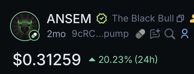 A cryptocurrency tracker shows the token 'ANSEM' with the label 'The Black Bull' priced at $0.31259, displaying a 24-hour increase of 20.23%.