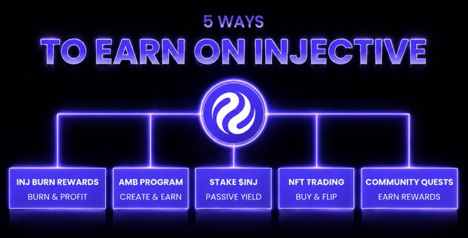 The image depicts a graphic representation of five different ways individuals can earn money through the use of injecting others with code. The diagram features arrows connecting various stages, representing each step in the process. At the bottom, there's a text box providing additional information about these methods and their associated rewards or benefits.