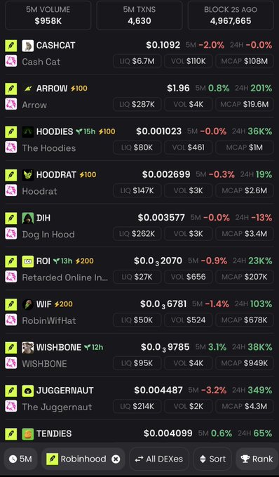 A Robinhood-themed meme coin tracker on DEXScreener showing tokens like CASHCAT, ARROW, HOODIES, HOODRAT, DIH (Dog In Hood), WIF (RobinWifHat), JUGGERNAUT, and TENDIES with their prices and metrics.