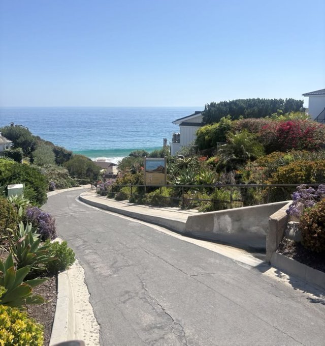 A coastal road winds down toward the ocean, lined with lush greenery, vibrant flowers, and houses overlooking the blue water under a clear sky.