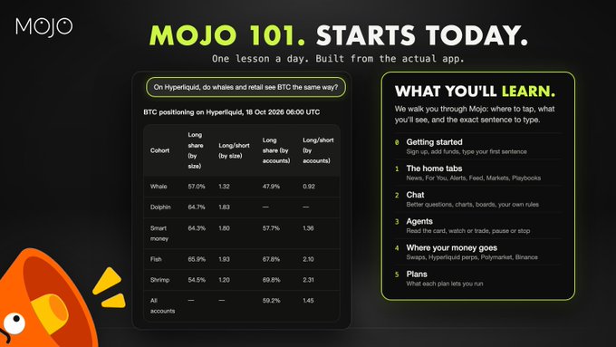 Promotional graphic reading “MOJO 101. STARTS TODAY.” and “One lesson a day. Built from the actual app.” It previews a beginner’s guide covering setup, home tabs (News, For You, Alerts, Feed, Markets, Playbooks), charts, agents, money goals, and plans, alongside a BTC-positioning table dated 16 Oct 2026 with whale, dolphin, smart money, fish, shrimp, and all-account cohorts.