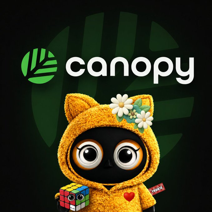 The image features a cute cartoon cat wearing a yellow hoodie with flowers, holding a Rubik's cube toy. The cat appears to be standing against a black background, which highlights its vibrant colors and playful demeanor. In the top right corner of the image, there is a logo for CNPY Network that reads "Good Morning on Saturday". This suggests that the cat might be associated with or promoting CNPY Network in some way.