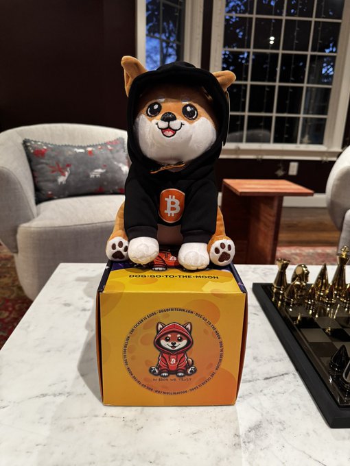 A Shiba Inu plush toy wearing a black hoodie with an orange Bitcoin logo sits on a yellow box labeled 'DOG·GO·TO·THE·MOON' from DOGGO BITCOIN CLUB, placed on a coffee table.