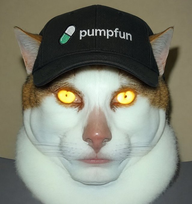 An image of a white and orange cat with glowing yellow eyes wearing a black baseball cap with the 'pumpfun' logo and a green pill icon.