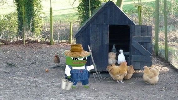A Pepe the Frog character dressed as a farmer with a straw hat and pitchfork, holding a bucket near a chicken coop with several chickens.