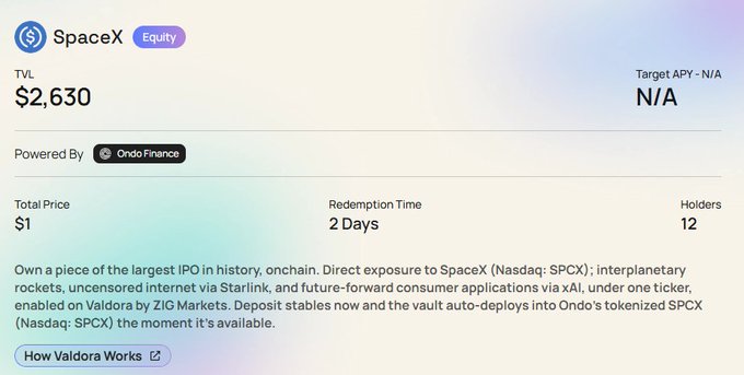 The image shows a screenshot of a webpage with information about investing in SpaceX, specifically targeting an audience interested in cryptocurrency trading. The text on the screen provides details about the target audience's interests and the potential benefits of investing in SpaceX.