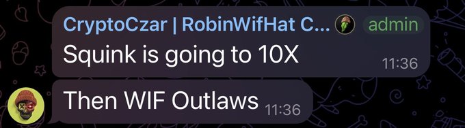 Telegram chat messages show user 'CryptoCzar | RobinWifHat C...' (admin) saying 'Squink is going to 10X,' followed by a reply 'Then WIF Outlaws.'
