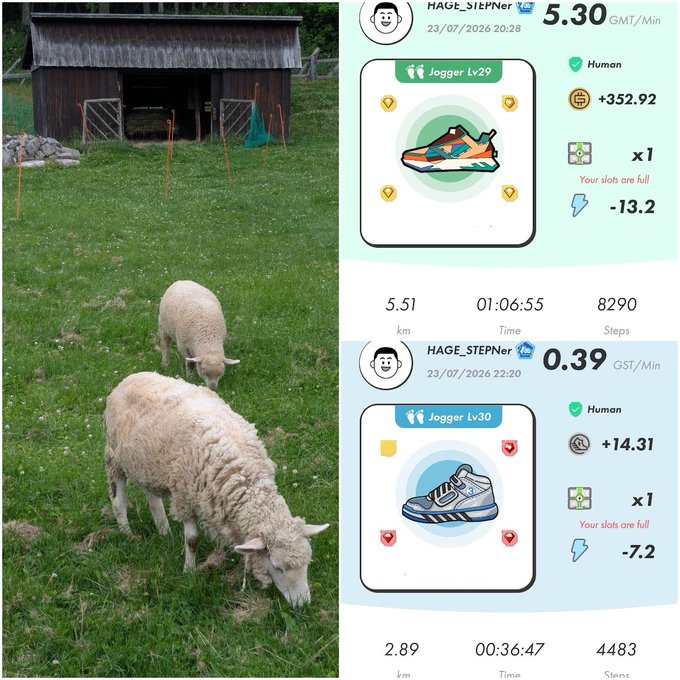 Split image showing sheep grazing in a grassy field beside a barn on the left, and a fitness app tracking two jogging sessions (Jogger Lv29 and Lv30) with GMT/GST earnings on the right.