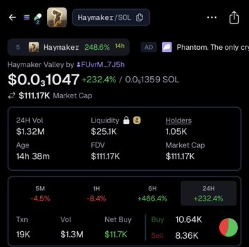 The image displays a cryptocurrency tracker page for "Haymaker/SOL" showing a 248.6% 24-hour gain with a market cap of $111.17K and trading volume of 1.32M, with 1.05K holders. This ties to the viral TikTok trend, as the post highlights $Haymaker's rapid price surge (+232.4% in 24H) being driven by its origin in a viral dog boxing meme.