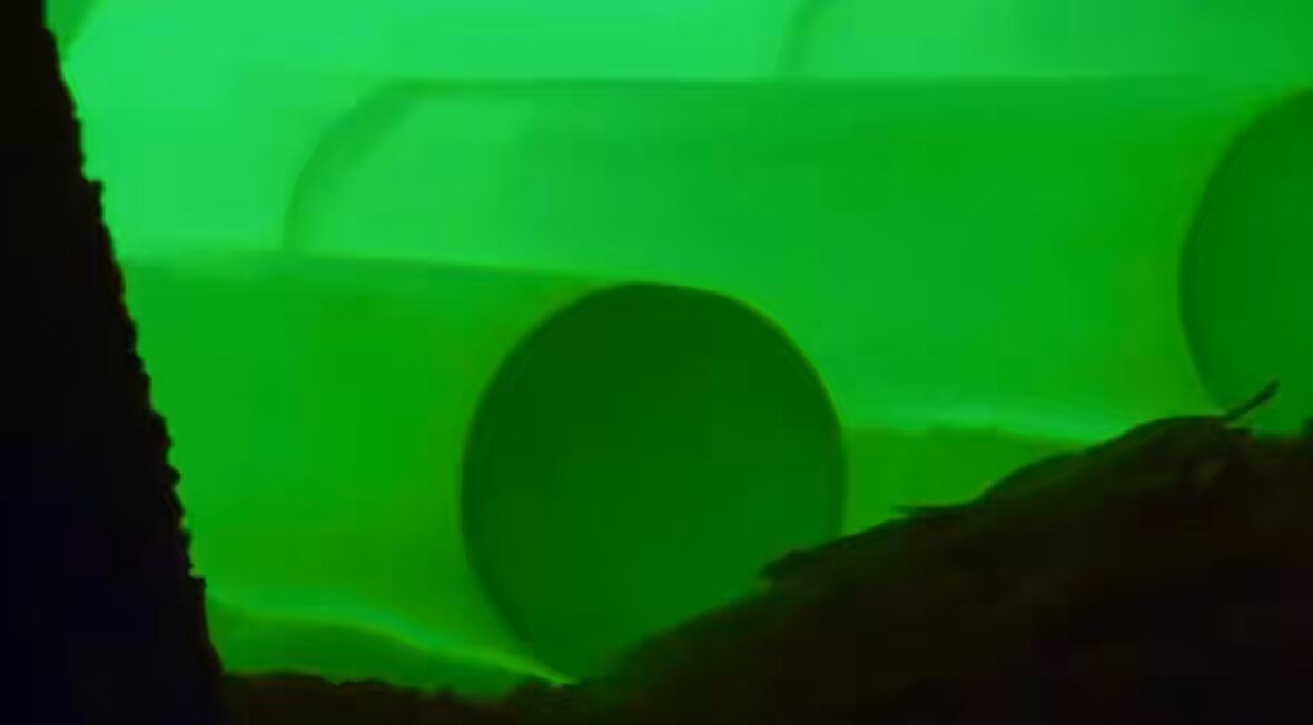 urns of green liquid, possibly a chemical reaction or a natural occurrence, are arranged in a circular pattern on the left side of the frame.