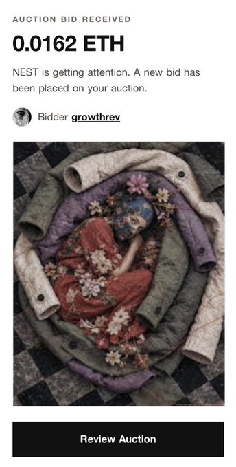 A NEST auction notification says “AUCTION BID RECEIVED” for “0.0162 ETH,” with bidder “growthrev,” a textile artwork, and a “Review Auction” button.