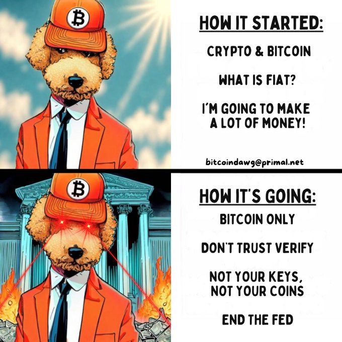A two-panel meme featuring a dog wearing a Bitcoin cap and orange suit: 'HOW IT STARTED' (crypto & Bitcoin, what is fiat) and 'HOW IT'S GOING' (Bitcoin only, not your keys not your coins, end the Fed), signed bitcoindawg@primal.net.