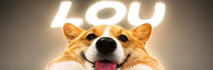 A close-up photo of a smiling Corgi dog with its tongue out, set against a smoky background with the glowing text 'LOYU' above it.