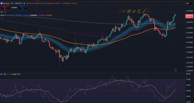 A TradingView chart showing the Ronin/USDT (CRYPTO) trading pair with Japanese text overlay '一三ガエイド' and an RSI indicator at the bottom.