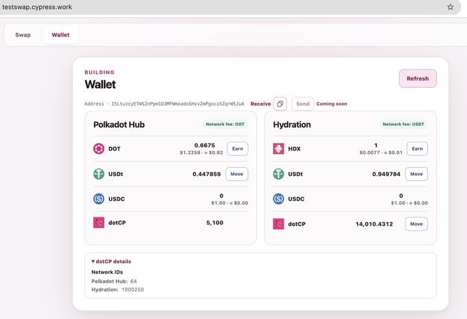 Screenshot of the testswap.cypress.work website displaying a wallet interface for Polkadot Hub and Hydration networks, showing balances for DOT, USDt, USDC, and dotCP tokens, with a Polkadot address and dotCP network IDs listed below.