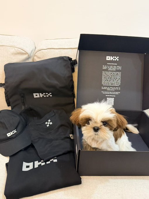 A Shih Tzu dog sits inside an open OKX merchandise box next to a black bag, t-shirt, and cap branded with the OKX logo.