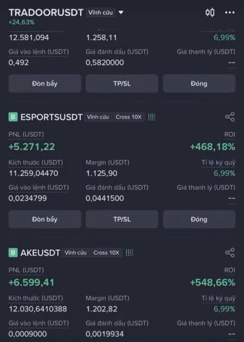 A Vietnamese cryptocurrency trading app screen showing positions for TRADOO/USDT (+24.63%), ESPORTS/USDT (PNL +5,271.22, ROI +468.18%), and AKE/USDT (PNL +6,599.41, ROI +548.66%), all with Cross 10X leverage.