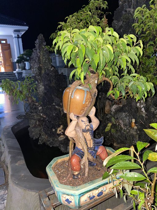 A bonsai-style decorative plant featuring a small figurine of a man holding up an orange pot, displayed on a stone surface.