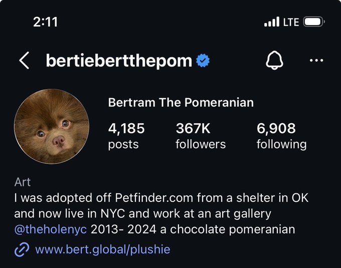 An Instagram profile page for 'bertiebertthepom' (Bertram The Pomeranian) showing 367K followers, with bio text stating the dog works at an art gallery @theholenyc and was adopted from a shelter in Oklahoma.