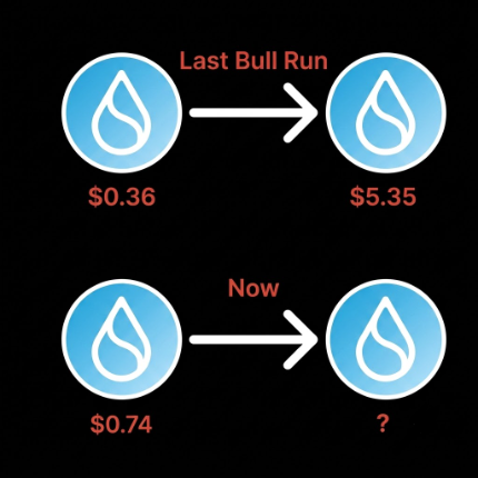 An infographic comparing crypto prices labeled 'Last Bull Run' showing an increase from $0.36 to $5.35, versus 'Now' showing $0.74 to a question mark.