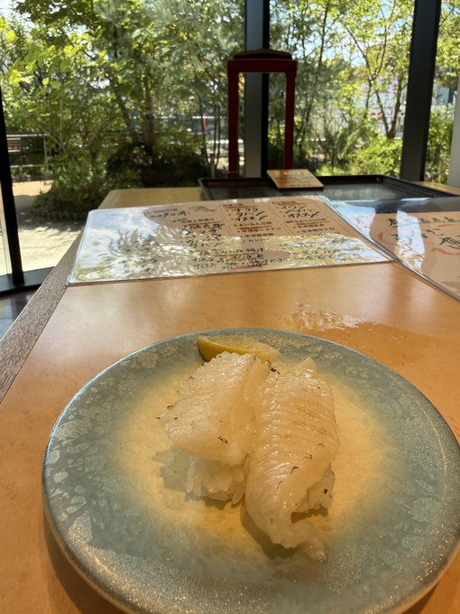A photograph of two pieces of sushi on a decorative ceramic plate, sitting on a wooden table by a window overlooking a green garden setting.